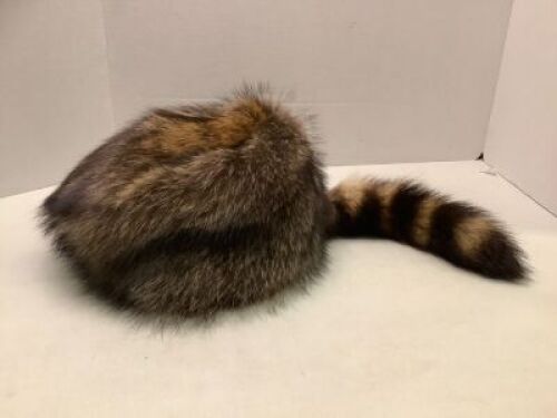 Crowncap Raccoon Hat, Appears New