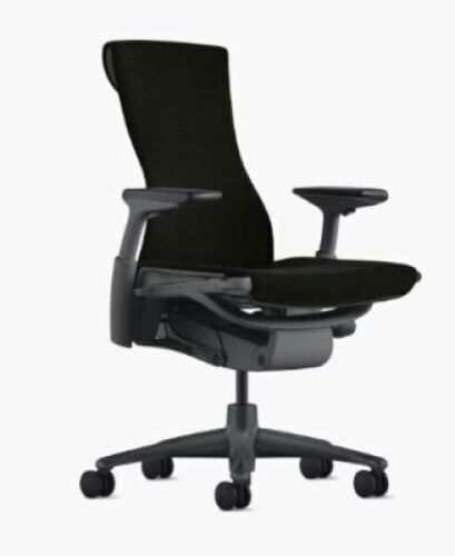Embody Task Chair&nbsp;