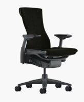 Embody Task Chair&nbsp;