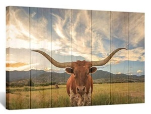 Texas Longhorn Canvas Print, Appears new