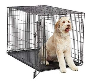 MidWest XL Folding Metal Dog Crate 