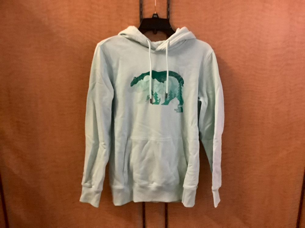 north face bearscape hoodie women's