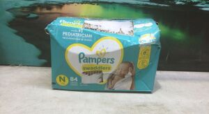 Pampers Swaddlers Baby Diapers, Newborn, 84 Ct 