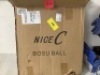 Inflatable Balance Ball w/ Foot Pump