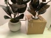 Lot of (2) Box of Decorative Plants, (2 per box), Appears New