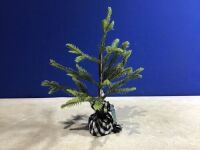 Lot of (16) Small Green Tree w/ Fabric Base&nbsp;