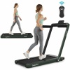 2 in 1 Folding Treadmill Dual Display With Bluetooth Speaker