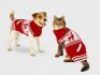 Case of (12) Wondershop&nbsp;Fair Isle Holiday Dog and Cat Sweaters, Small&nbsp;
