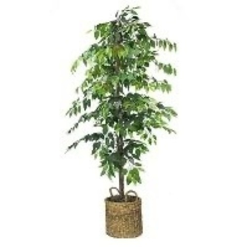 72" Artificial Ficus Tree- LCG Florals