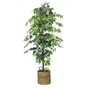 72' Artificial Ficus Tree- LCG Florals 