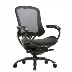 CLATINA Ergonomic High Mesh Swivel Executive Chair Adjustable Height Arm Rest