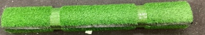 Artificial Grass, Appears New