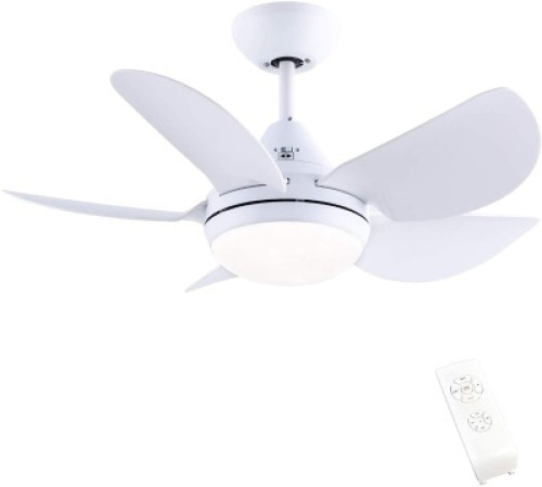 CJOY 30"&nbsp;Ceiling Fan with Lights