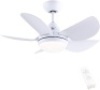 CJOY 30"&nbsp;Ceiling Fan with Lights