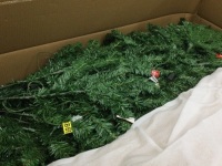 4/5/6 feet Tree,Appears New
