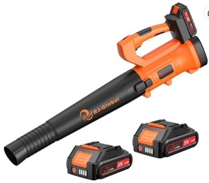 Cordless Leaf Blower, Powers Up, Appears New