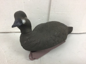 Duck Decoy, Appears New