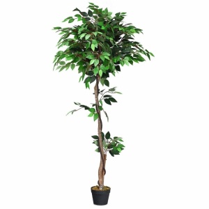 5.5 Ft Artificial Ficus Silk Tree With Wood Trunks 