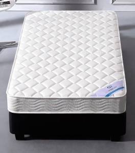 Home Life Twin Mattress. Appears New