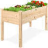 Raised Garden Bed, Elevated Wood Gardent Planter Stand