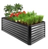 Outdoor Metal Raised Garden Bed, 6x3x2ft, Gray