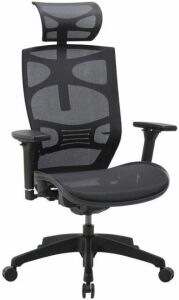 CLATINA Ergonomic Mesh Executive Chair.