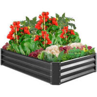 Outdoor Metal Raised Garden Bed for Vegetables, Flowers, Herbs 