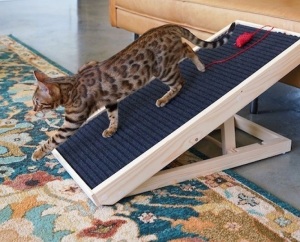 ScratchyRamp,Appears New