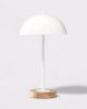 Dome Table Lamp 17"&nbsp;