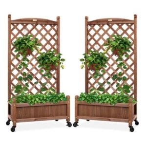 Set of 2 Wood Planter Box & Lattice Trellis, 48in