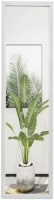 FANYUSHOW Framed Wall Mirror, 50" x 14" Modern Full Length Dressing Mirror, White - Appears New&nbsp;