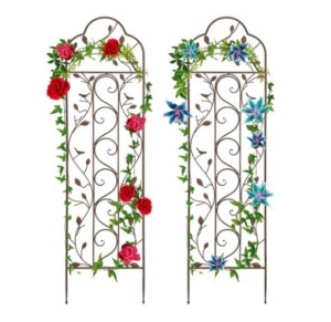 Set of 2 Iron Arched Garden Trellis