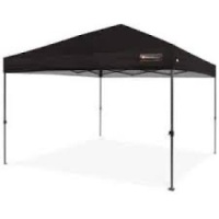 Outdoor Portable Pop Up Canopy Tent w/ Carrying Case, 10x10ft