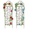 Set of 2 Iron Arched Garden Trellis