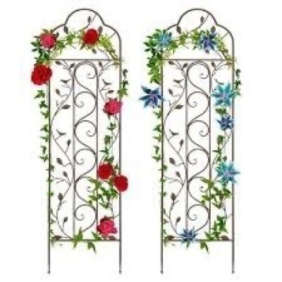 Set of 2 Iron Arched Garden Trellis