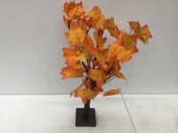 &nbsp;Maple Tree,New