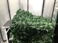 Ivy Privacy Screen, Appears New