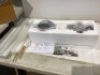Light Fixture