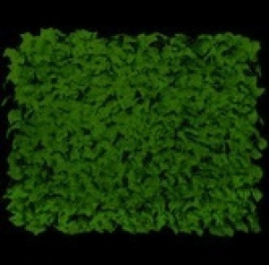 BCP. SKY  5832:  Out Door  Faux Ivy Privacy  Screen Fence 