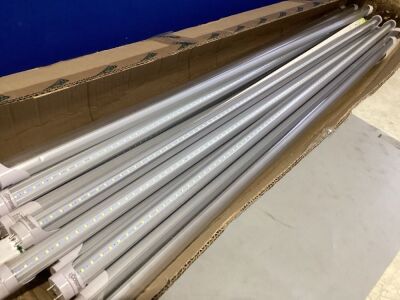 Lot of (10) T8 Tube Lights