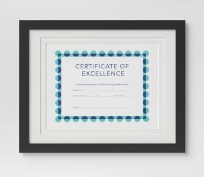 Case of (4) Threshold 14" x 11" Matted to 8.5" x 11" Document Frames