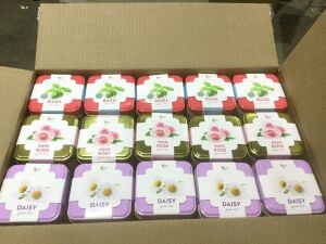 Case of (45) Buzzy Grow Your Own Plant Kits - Daisy, Mini Rose & Basil 