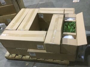 (12) Cases of (2) Threshold Tabletop Artificial Ferns in White Pots