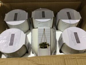 Case of (12) Hanging Planter Kits 