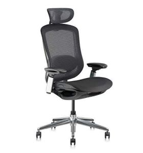Ekstere Executive Office Chair Mesh Swivel With 4d Adjustable Armrest and Lumbar