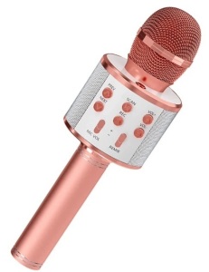 Karaoke Microphone, Powers Up, Appears new, Retail 29.99