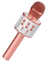 Karaoke Microphone, Powers Up, Appears new, Retail 29.99