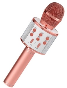 Karaoke Microphone, Powers Up, Appears new, Missing Aux Cord, Retail 29.99