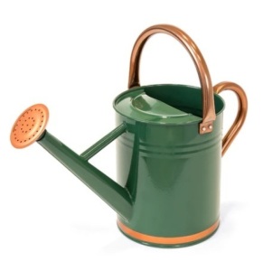 1-Gallon Galvanized Steel Watering Can