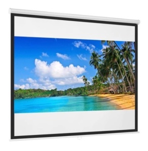 Diagonal 1:1 HD Pull-Down Manual Projector Screen, 119in